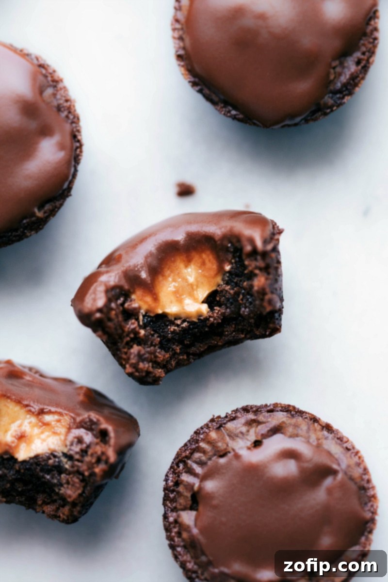 Fudgy Peanut Butter Brownie Morsels 1 featured 12037