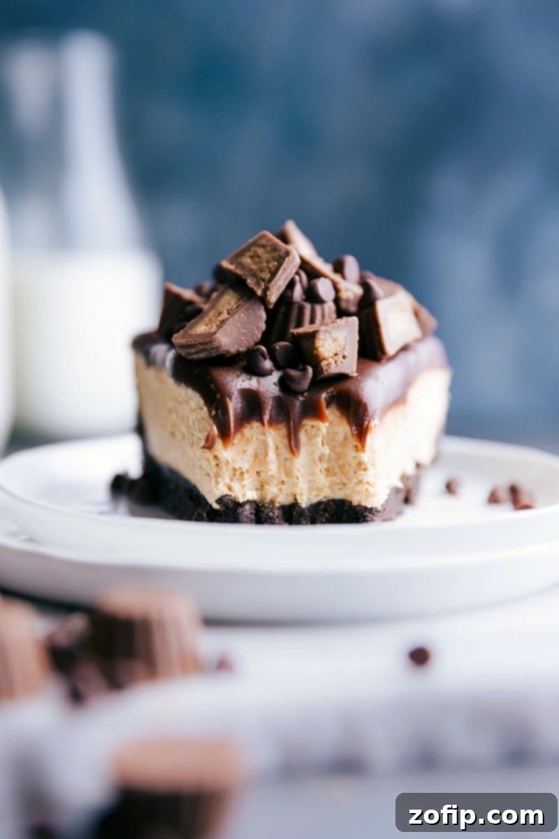 Ultimate Peanut Butter No-Bake Cheesecake 1 featured 12342