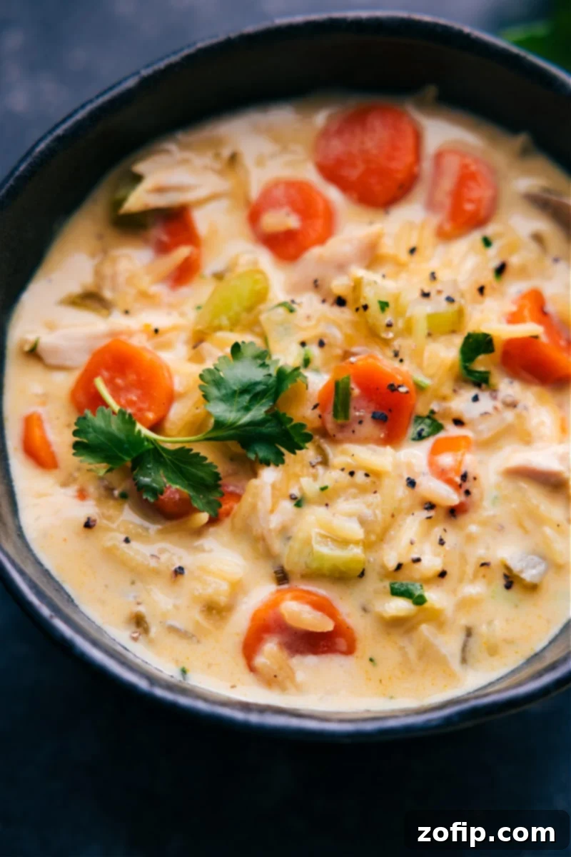 Hearty Curried Chicken and Rice Soup 1 featured 132071