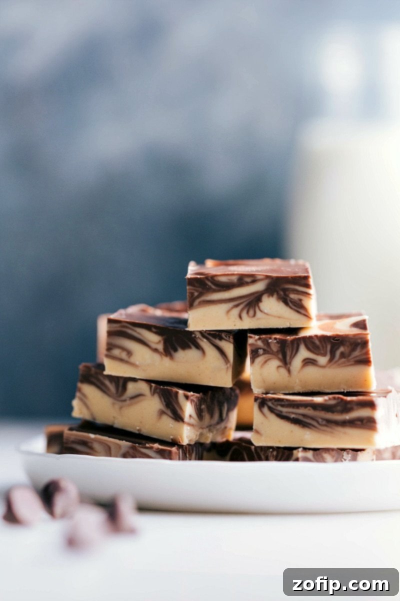 Velvet Tiger Swirl Fudge 1 featured 63749