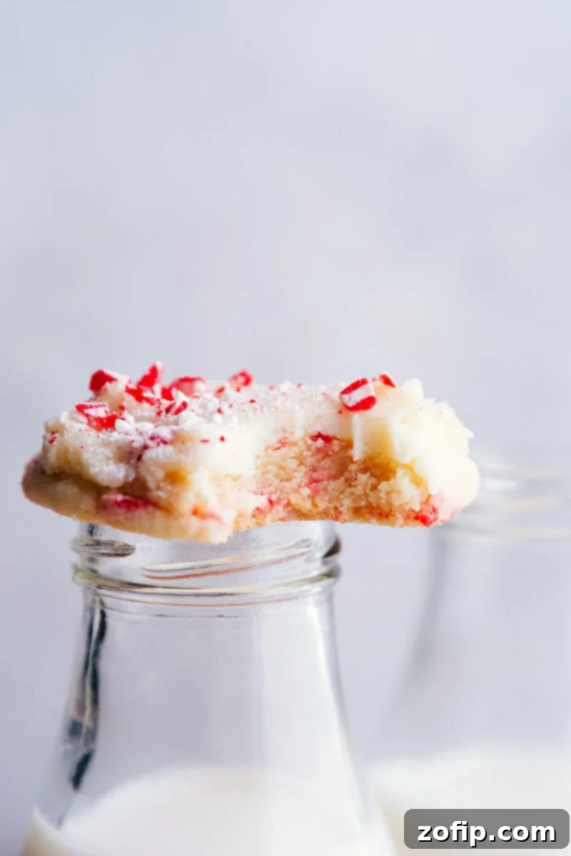 Festive Peppermint Sugar Cookies 1 featured 7184