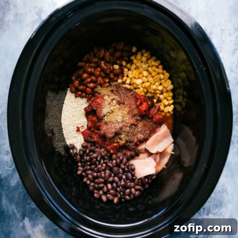 A vibrant assortment of all the raw ingredients, neatly gathered and awaiting their transformation into a warm and delicious meal within the slow cooker pot.