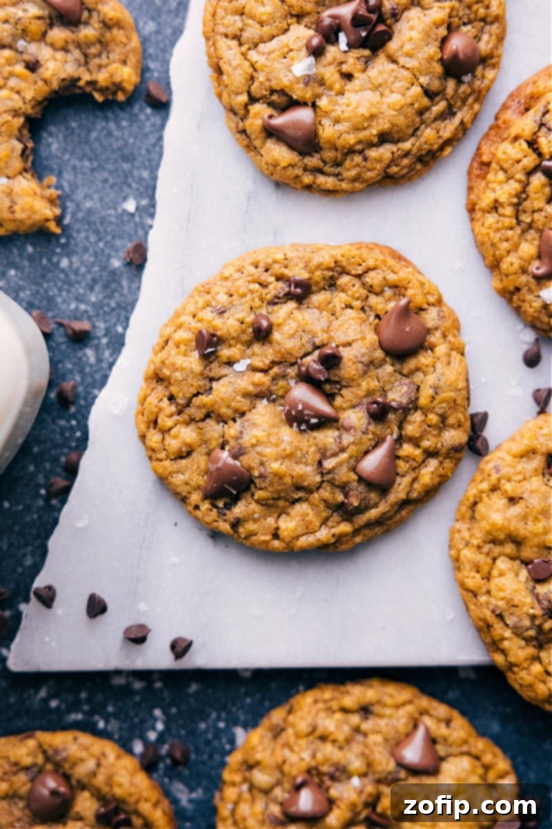 Overhead image of freshly baked Pumpkin Oatmeal Chocolate Chip Cookies, showcasing their crisp edges and generous chocolate chips.