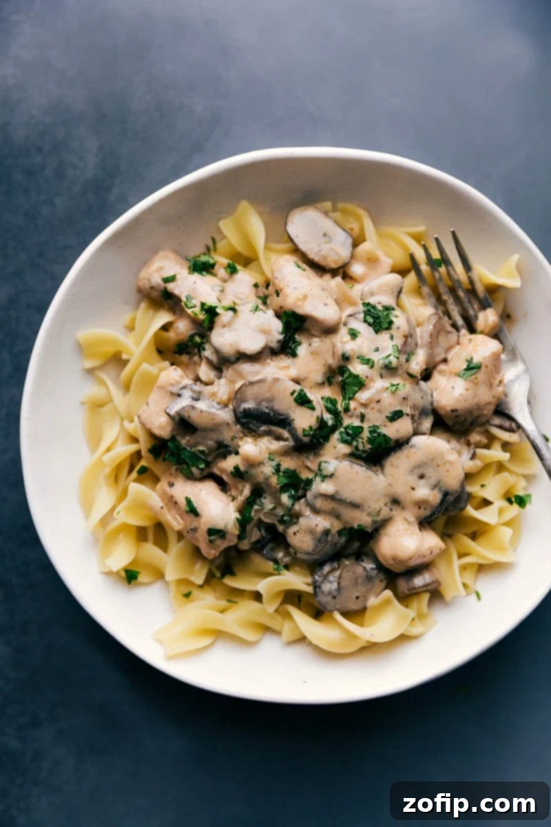 Creamy Chicken Stroganoff served over noodles, garnished with fresh parsley.