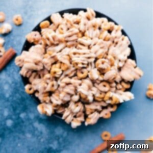 Cinnamon Sugar O's 2 A close-up of Churro Cheerios in a bowl, showing the texture and delicious coating.