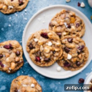 Trailblazer Treats 4 Trail Mix Cookies