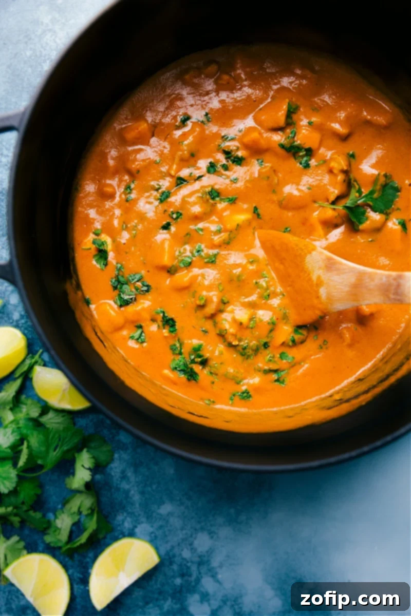 Overhead image of a beautifully garnished Mango Chicken Curry served over rice