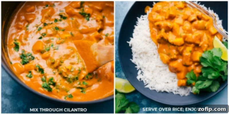 Image of fresh cilantro being mixed into the Mango Chicken Curry, which is served over a bed of fluffy white rice.