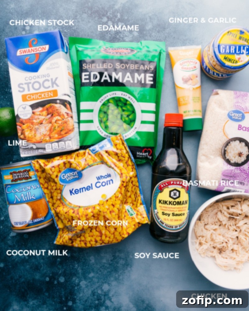 A curated display of ingredients for Coconut Chicken and Rice, including rich chicken stock, vibrant edamame, aromatic ginger and garlic, fresh lime, creamy coconut milk, sweet frozen corn, savory soy sauce, fluffy basmati rice, and pre-cooked chicken.