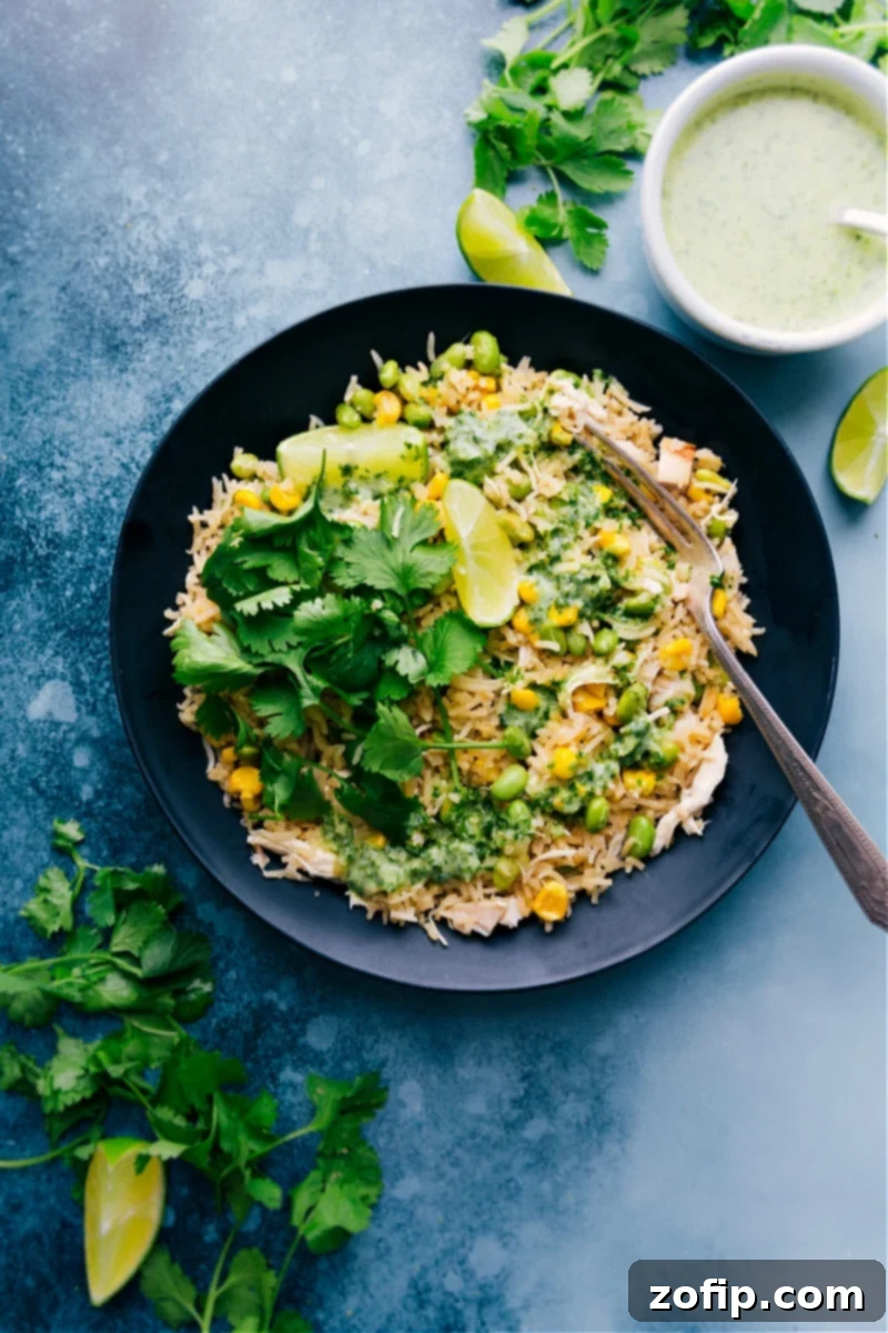 A beautifully plated serving of Coconut Chicken and Rice, showcasing the fluffy rice, tender chicken, and fresh garnishes, ready to be enjoyed.