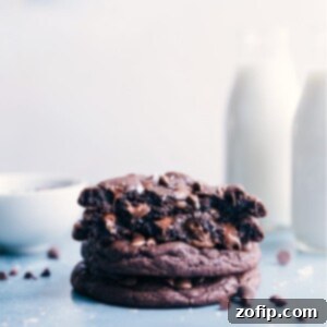 Bakery Style Chocolate Cookies, fresh from the oven, showing their soft centers and crisp edges