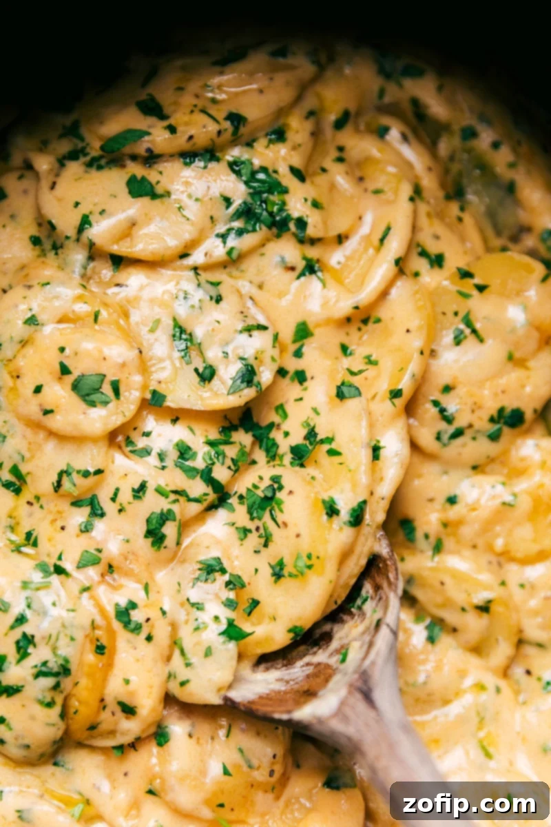 Overhead image of a serving of golden Crockpot Au Gratin Potatoes with melted cheese and fresh herbs