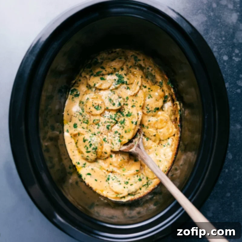 Overhead image of a beautifully plated serving of Crockpot Au Gratin Potatoes, garnished with fresh herbs, ready to be enjoyed