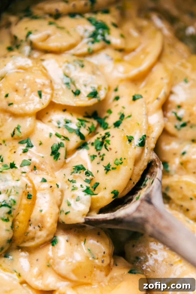 Up-close image of the Crockpot Au Gratin Potatoes, showcasing the melted cheese, tender potato layers, and golden brown edges