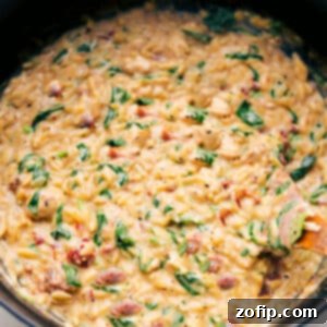 One Pot Chicken Orzo Recipe