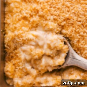 A delicious serving of baked mac and cheese with a golden, crispy topping.