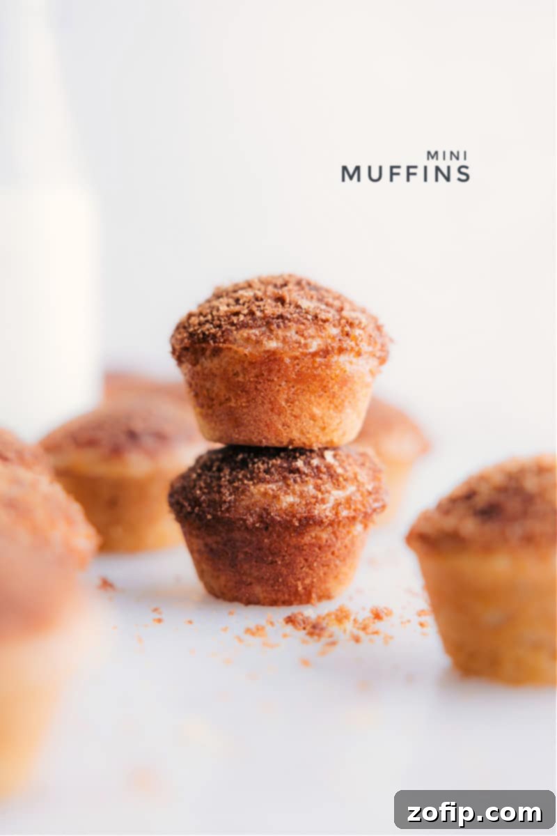 Two golden-brown mini muffins stacked on a countertop, ready to be enjoyed.