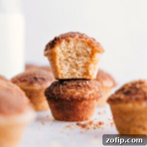 Two mini muffins, perfectly baked and ready for serving.