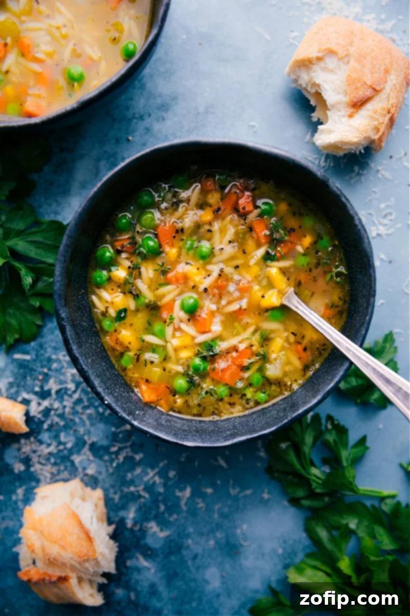 The ultimate one-pot Vegetable Noodle Soup with mixed veggies, orzo pasta, and Parmesan. Recipe via ChelseasMessyApron.com A comforting bowl of Vegetable Noodle Soup, topped with fresh herbs and Parmesan, ready to be enjoyed with crusty bread.