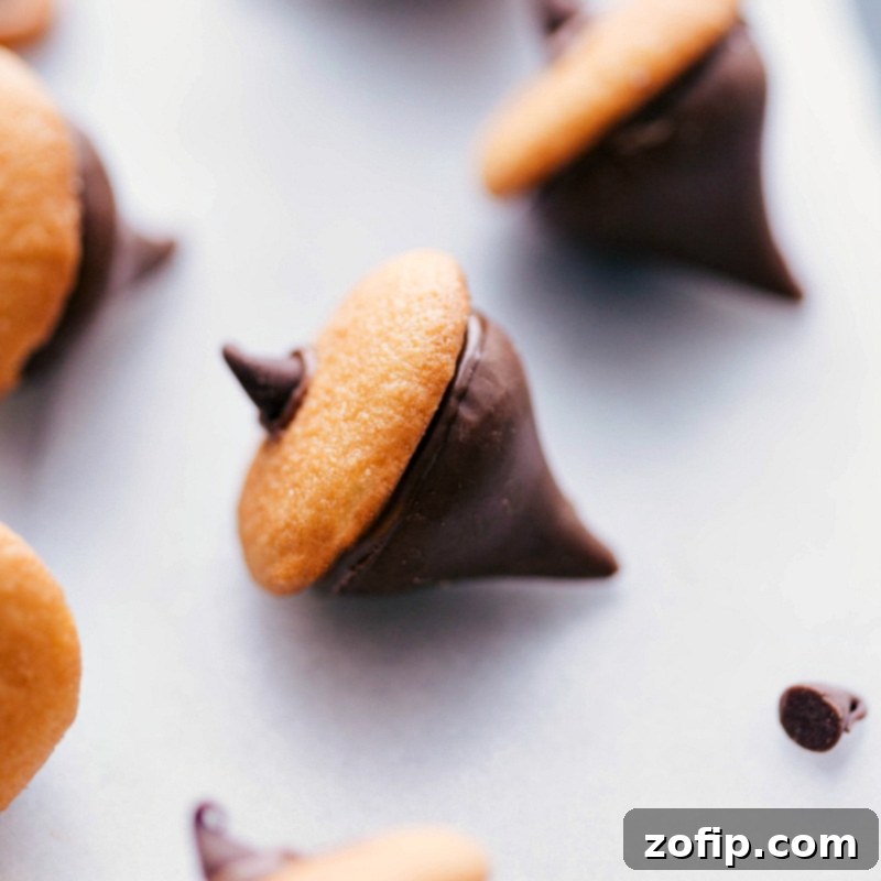 Festive Acorn Treats with Chocolate Kisses and Vanilla Wafers Festive acorn treats crafted from chocolate kisses and miniature vanilla wafers, a sweet and simple addition to your holiday dessert table.