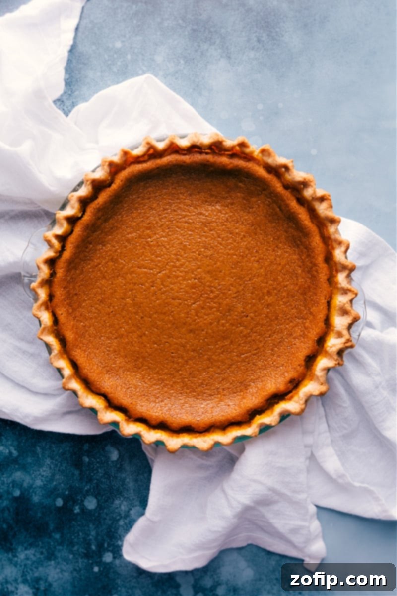 Freshly baked Pumpkin Pie recipe in a pan, golden and set just out of the oven, ready to be served for Thanksgiving or fall desserts.