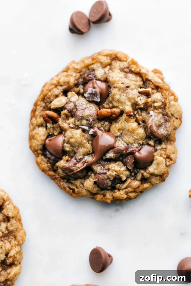 Oatmeal Pecan Cookie - Freshly Baked Delight Freshly baked and delicious oatmeal pecan cookie with melted chocolate chips on top, a sprinkle of fresh sea salt, and baked pecans.