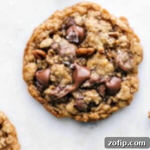 Irresistible Oatmeal Pecan Cookies 2 Freshly baked and delicious oatmeal pecan cookie with melted chocolate chips on top, a sprinkle of fresh sea salt, and baked pecans.