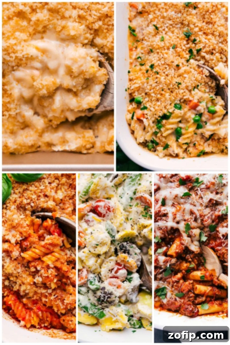 Assortment of baked pasta casseroles including mac and cheese, tuna casserole, and baked ziti