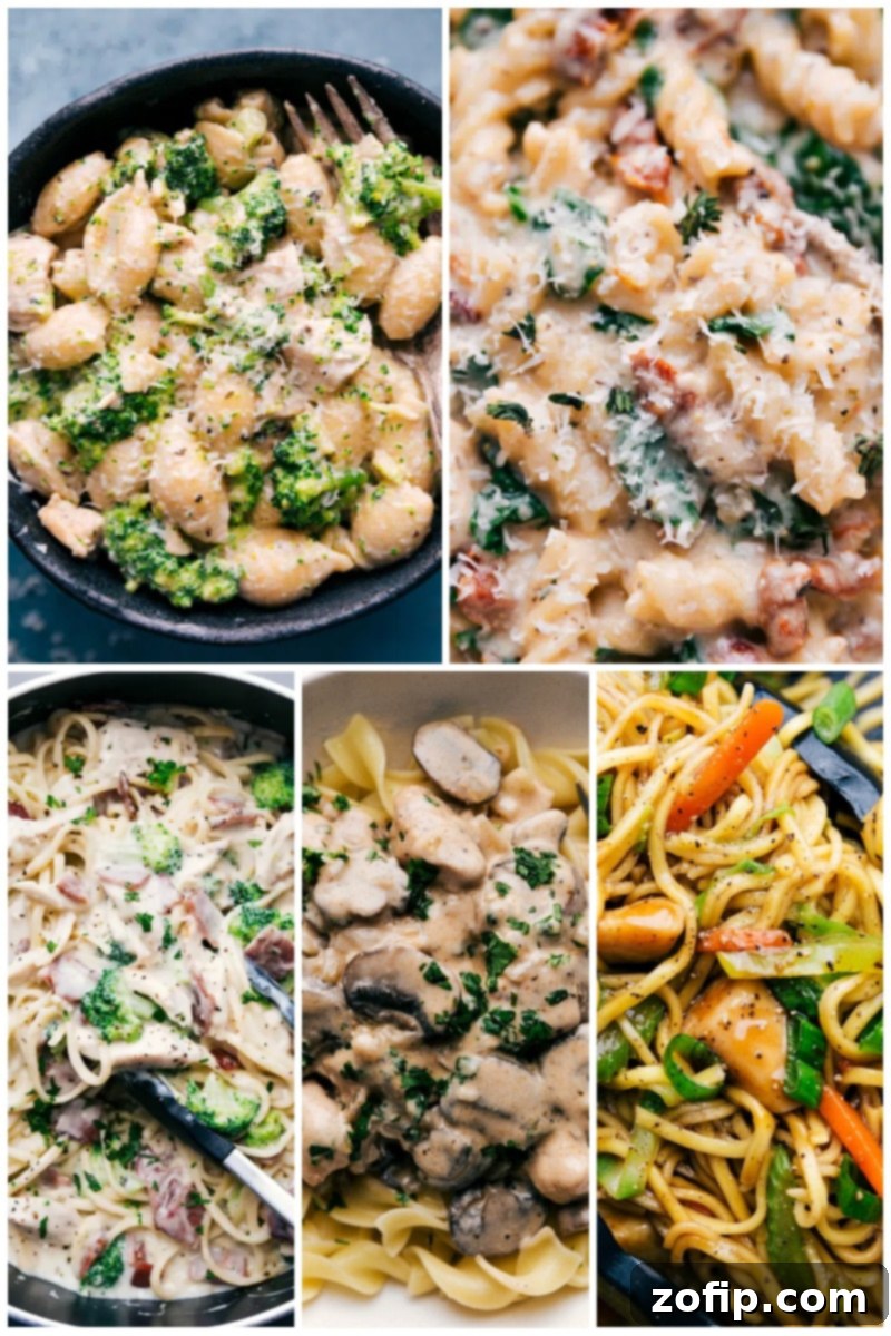 Variety of chicken pasta meals including chicken and broccoli pasta, Tuscan chicken, and chicken Alfredo
