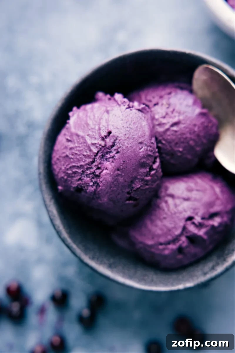 A beautifully scooped bowl of creamy, healthy blueberry ice cream, garnished with fresh blueberries and a mint sprig, ready to be enjoyed.