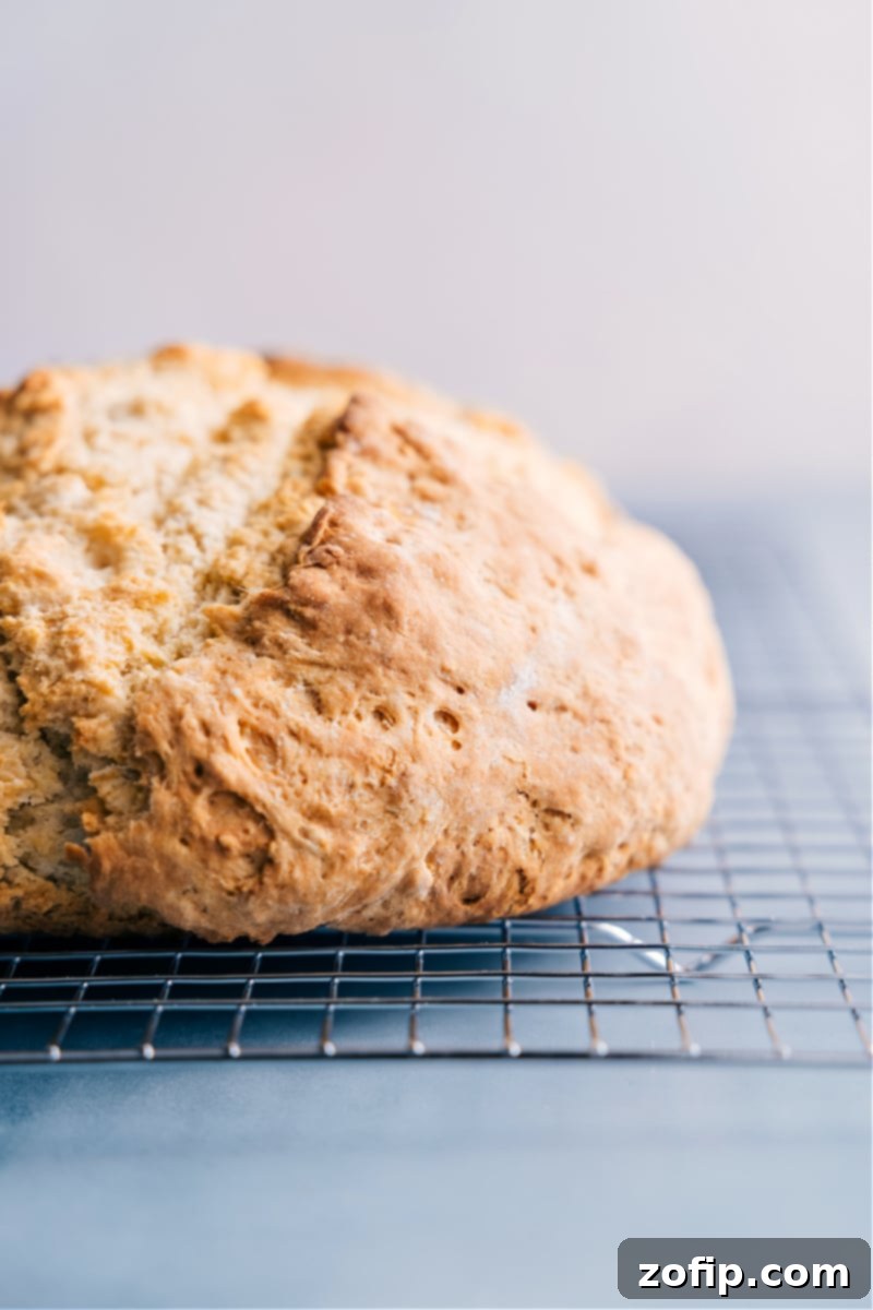 We love this No-Yeast Bread that can be prepared in a matter of minutes and doesn't require any rising time! Bake it up and enjoy a delicious slice of hot baked bread in under 90 minutes! Recipe via ChelseasMessyApron #snack #quick #easy #simple #best #fresh #norise #noyeast #bread Close-up image of a fresh, hot loaf of No-Yeast Bread, showing its perfectly golden crust and inviting texture, having just come out of the oven.