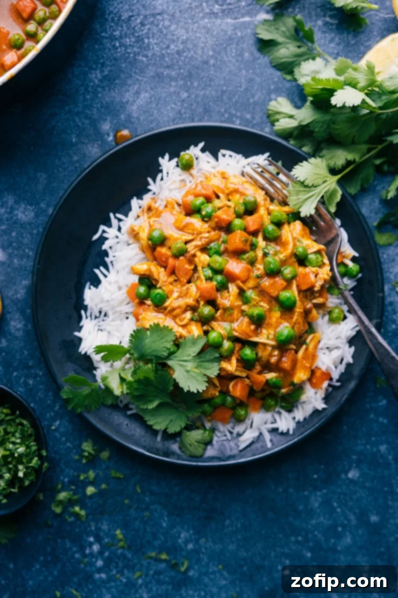 Overhead view of Garam Masala Chicken served with rice and naan, garnished with cilantro.