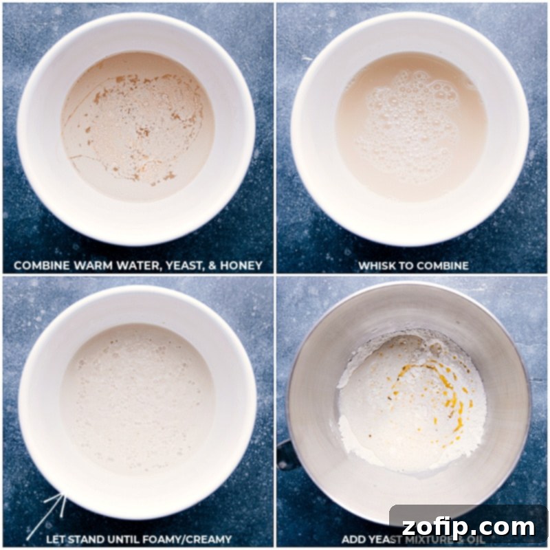 Process shots of the French Bread: yeast, warm water, honey activating; dough rising; and olive oil being incorporated into the mixture.