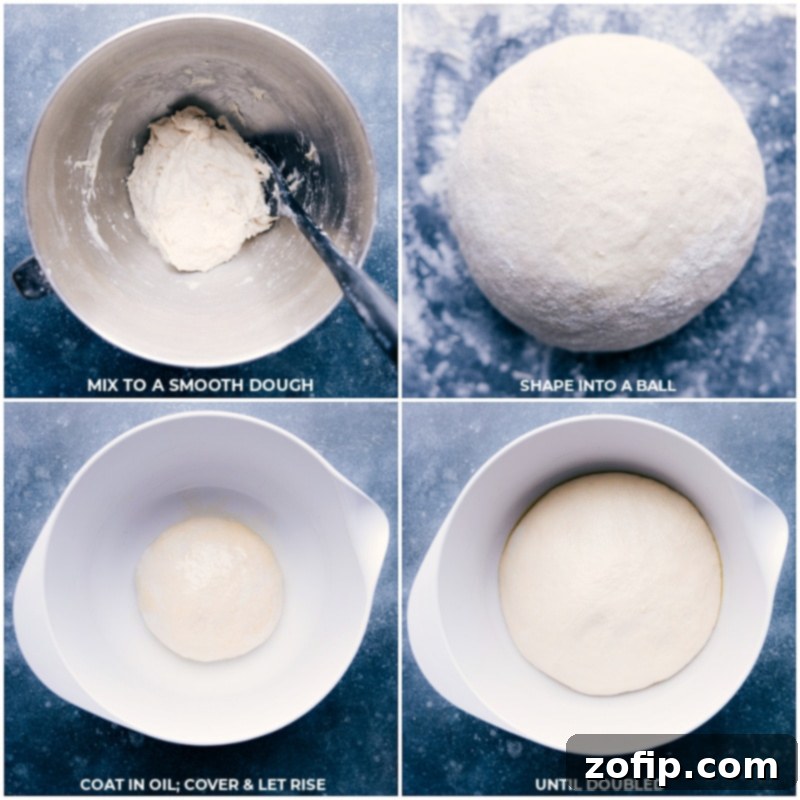 Process shots showing the dough being kneaded into a smooth ball and then placed in an oiled bowl to rise, ready for its first fermentation.