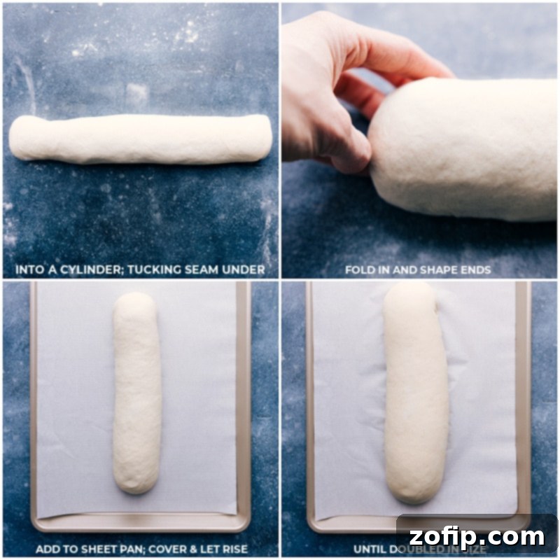 Process shots of French Bread: the shaped dough is carefully placed on parchment paper on a baking sheet, ready for its final rise before baking.