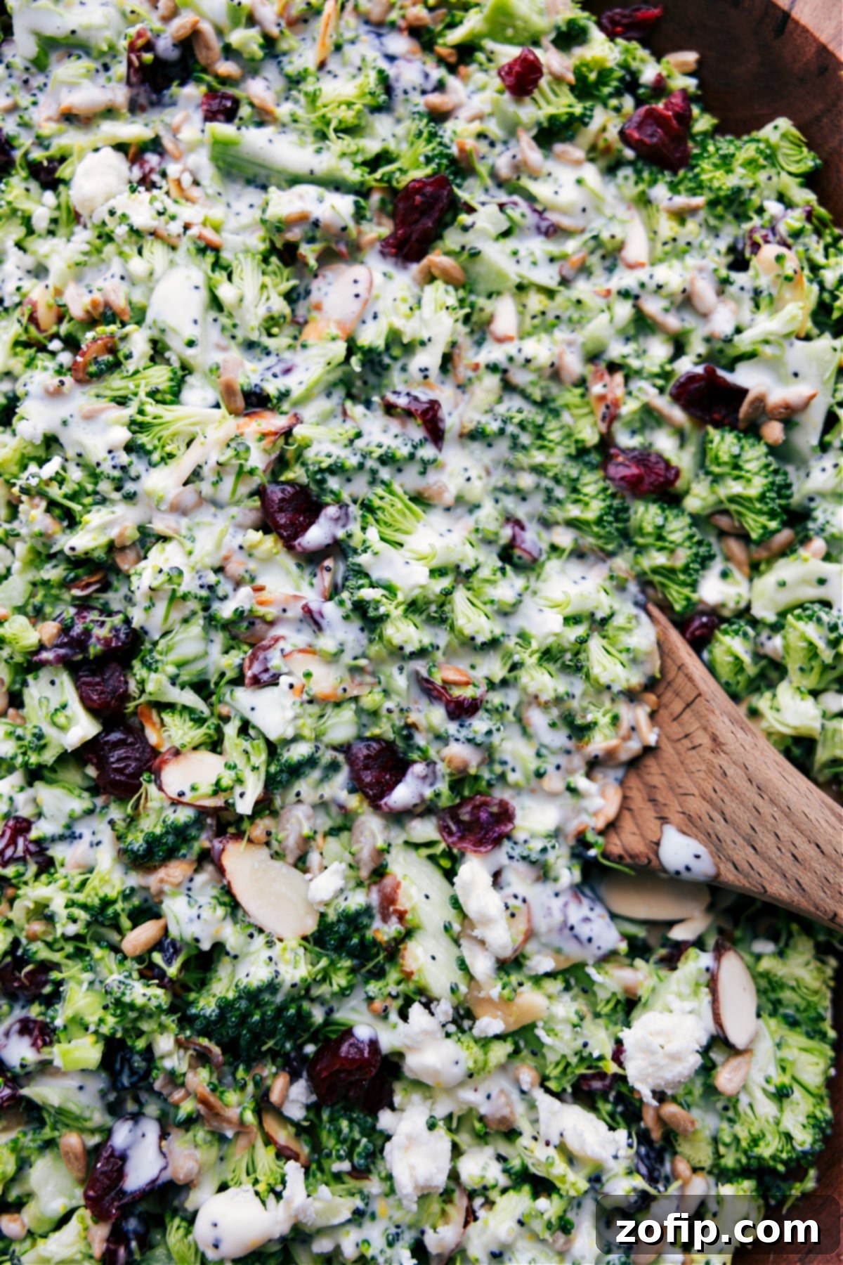 Fully dressed Lemon Poppy Seed Broccoli Salad in a white bowl, garnished with fresh herbs, ready to be enjoyed.