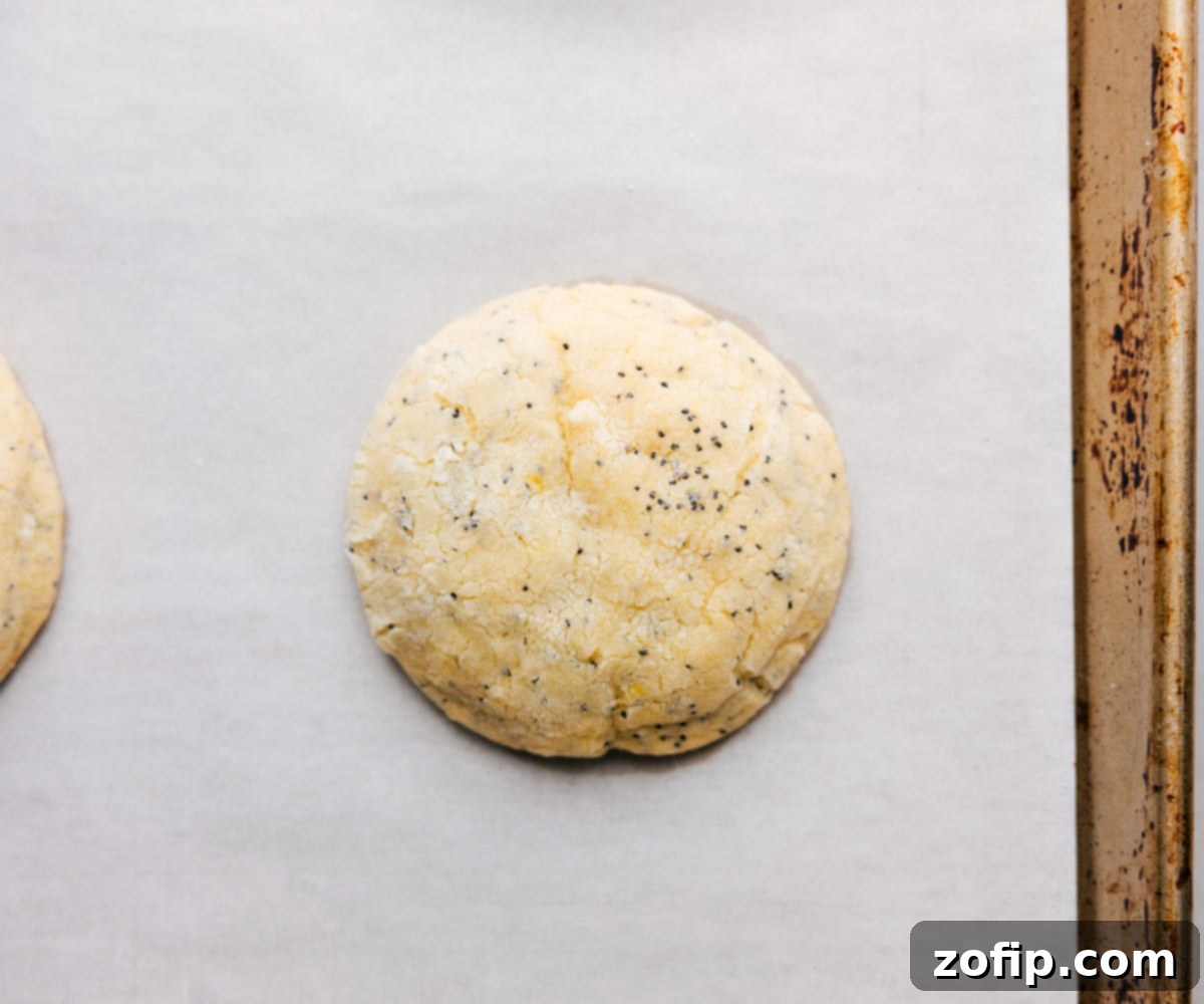 Zesty Poppy Seed Delights 2 Freshly baked Lemon Poppy Seed Cookies cooling on a wire rack, glistening with a lemon glaze.