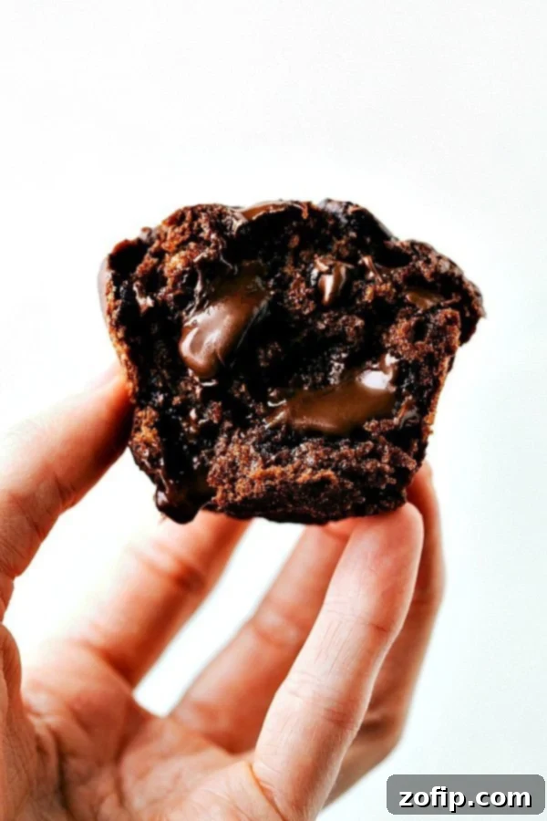The best ever Chocolate Banana Muffins! These muffins are made with more nutritious ingredients than your typical bakery-style muffins; they've got Greek yogurt, bananas, coconut oil, and a lot less sugar than other recipes. Even though we're using better ingredients, we aren't sacrificing any flavor with this recipe! Recipe via chelseasmessyapron #breakfast #dessert #best #quick #easy #simple #chocolatechips #chocolate #banana #muffins
