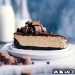 Ultimate Peanut Butter No-Bake Cheesecake 2 A slice of the delicious and flavor packed no-bake peanut butter cheesecake.