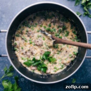 Close-up of the finished One-Pot Meatballs and Orzo, garnished with fresh parsley, showing its creamy texture and rich Italian flavors.