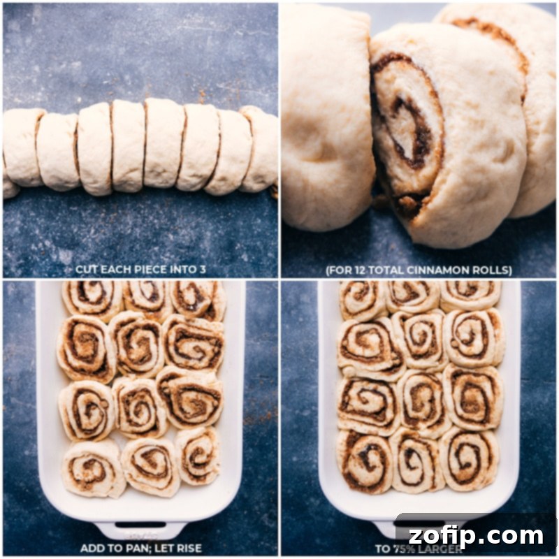 Process shot: Cutting dough into individual rolls, adding them to the pan, and letting them rise again for easy cinnamon rolls.