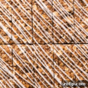 Oatmeal Cookie Granola Bars, a healthy and delicious no-bake snack.