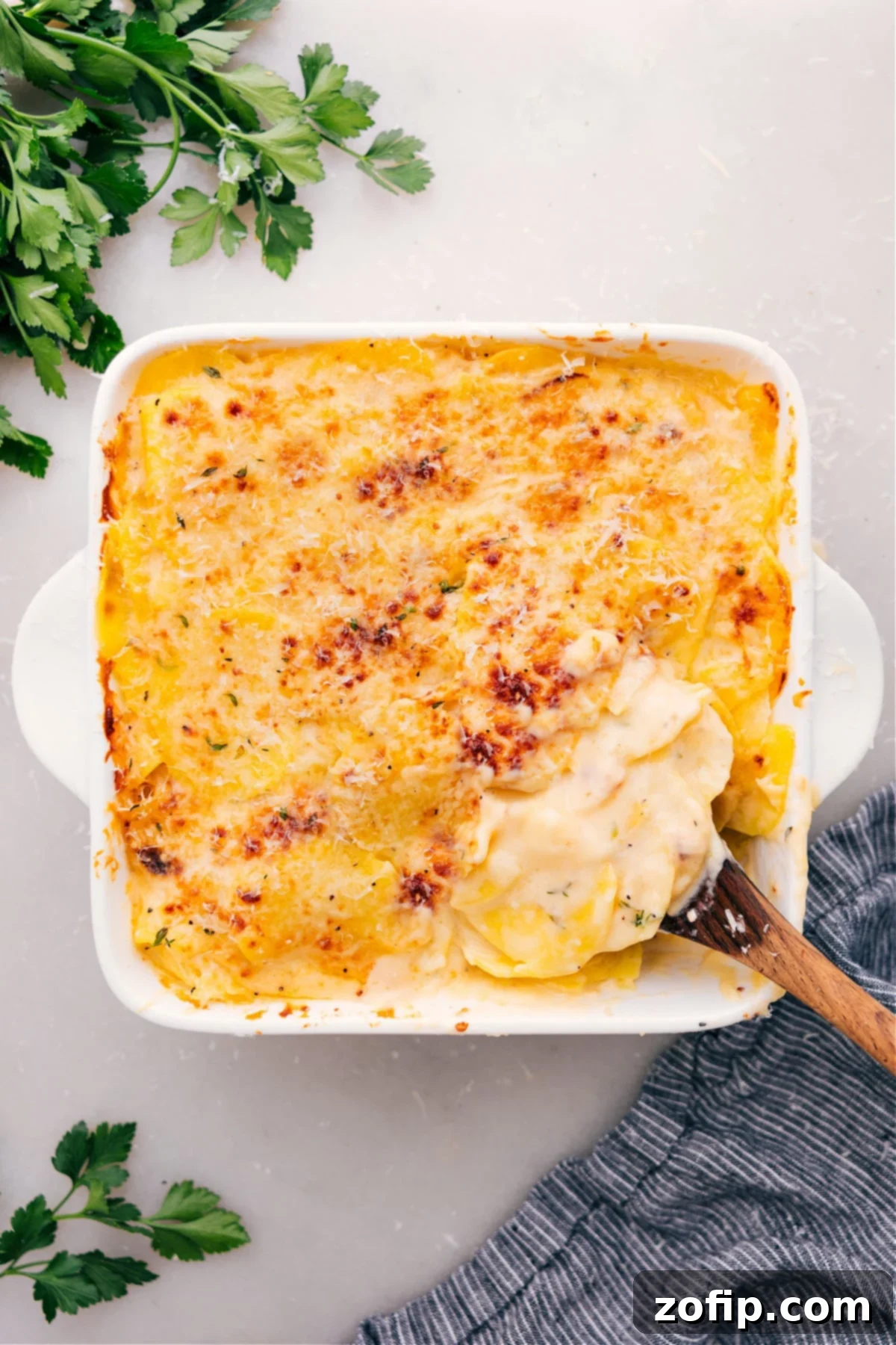 Au Gratin Potatoes are fresh out of the oven, golden brown, bubbling, and ready to enjoy!