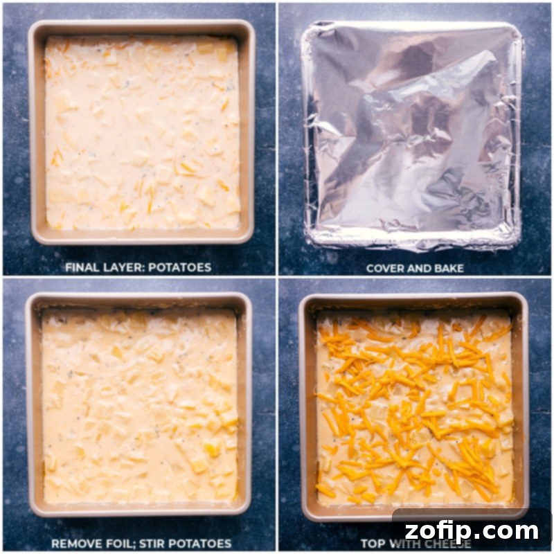 The golden and bubbly Cheesy Potatoes casserole, just out of the oven, with a final layer of melted cheese and crispy panko topping.