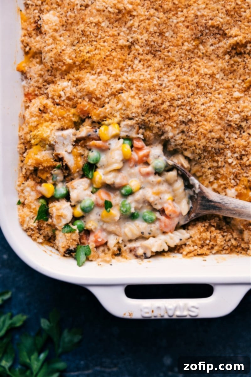 Classic Chicken Noodle Casserole with a creamy sauce and golden topping Overhead image of a bubbling golden-brown Chicken Noodle Casserole in a baking dish