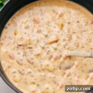 A bowl of creamy Cheeseburger Soup ready to be served.