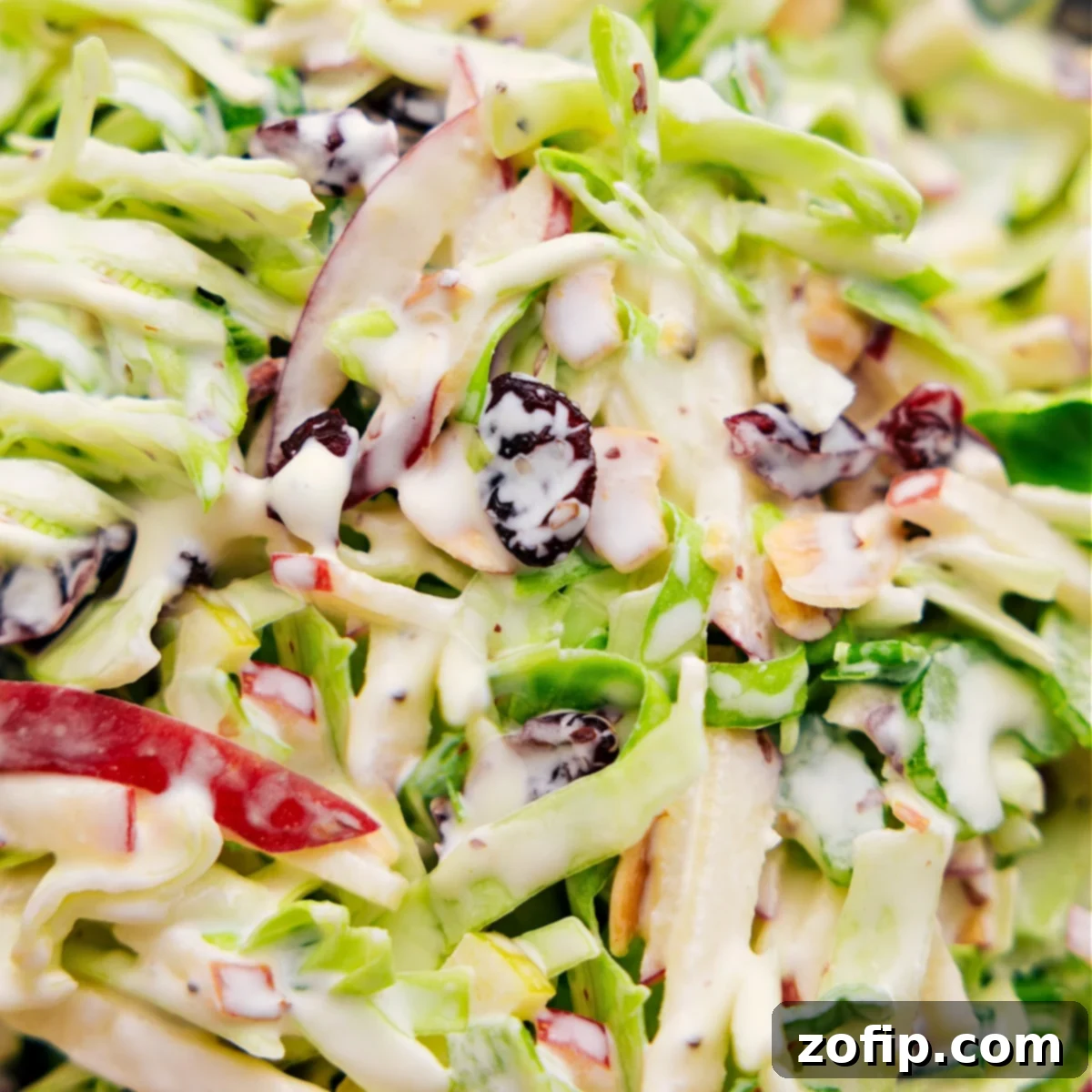 Apple coleslaw tossed together, dressed, and ready to be enjoyed. A close-up view showing the creamy texture and colorful ingredients.