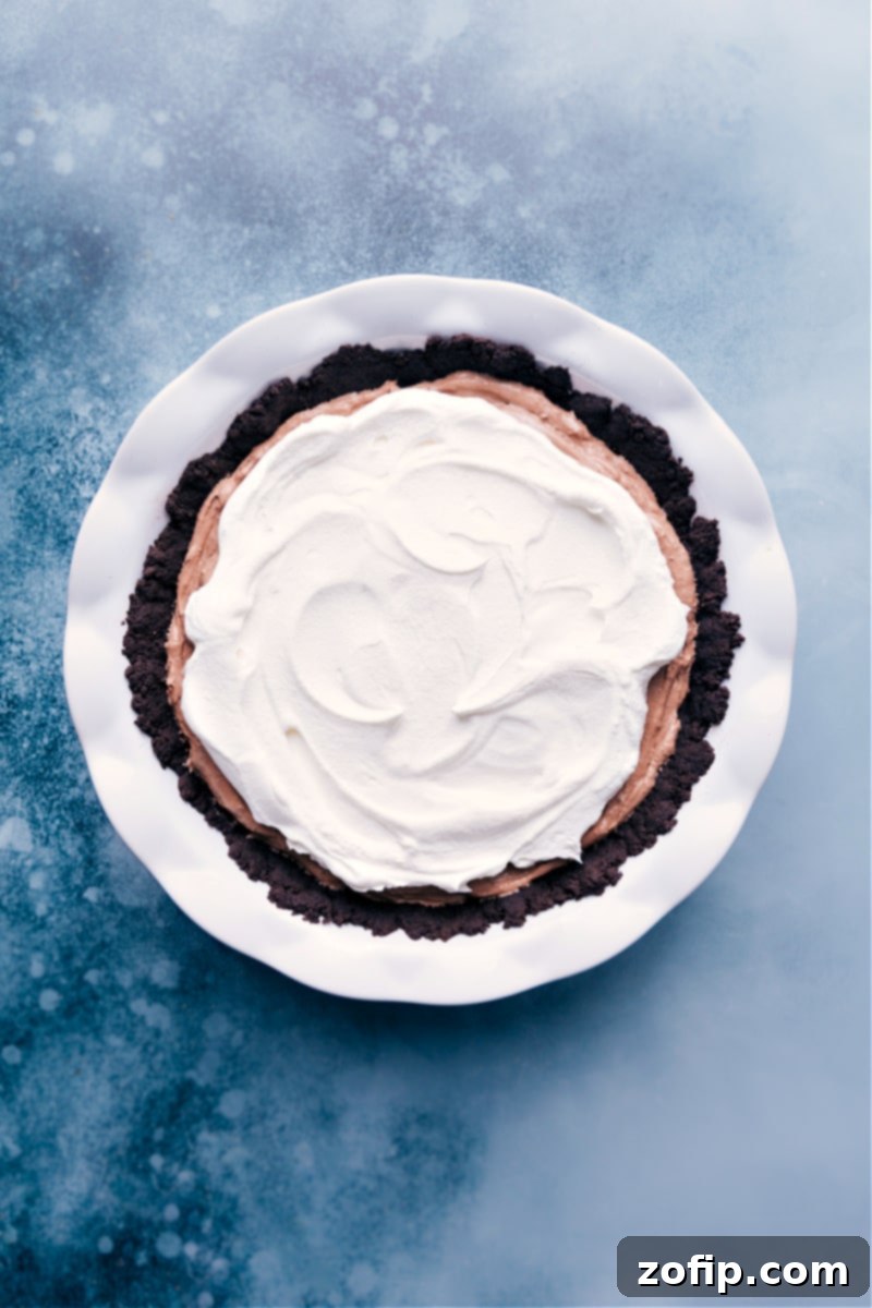 Velvety Chocolate Cloud Pie 8 Overhead view of the completed Chocolate Pudding Pie, garnished and perfectly chilled, ready to be served.