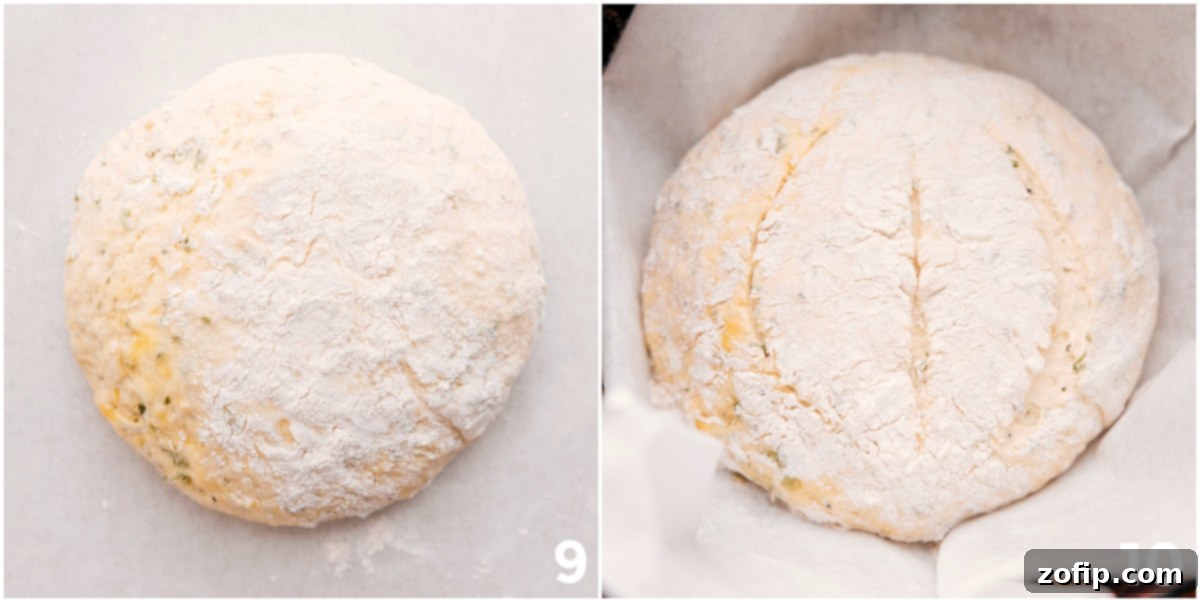 No-knead herb bread dough, perfectly shaped, gently placed into a preheated heavy-duty cast iron pot, ready for baking.