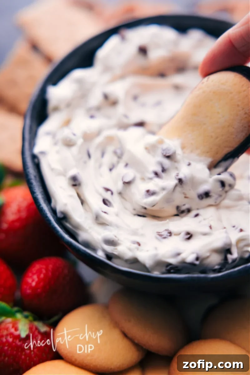 Indulge In the Best Chocolate Chip Dip Creamy Chocolate Chip Dip with a Milano cookie being dipped, highlighting its rich texture and deliciousness.